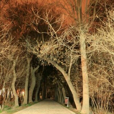 حدیقة شوکت آباد